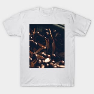 Olives Harvest T-Shirt